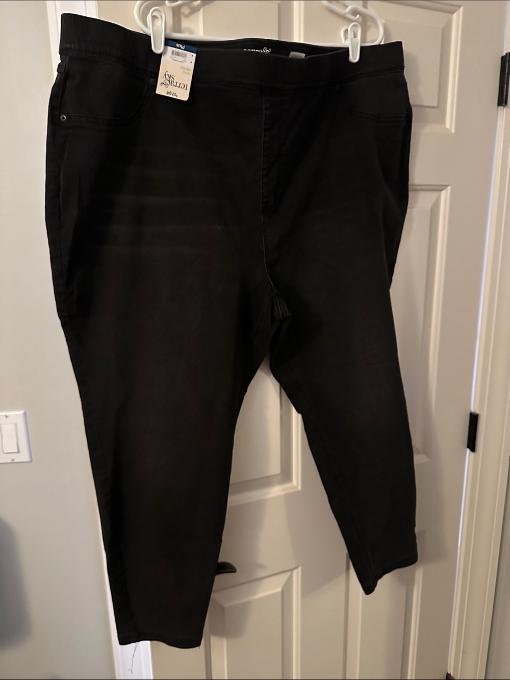Terra & Sky Black Women’s Jeggings